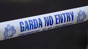 Gardaí say dog was killed after it was hit by a car and not a firework