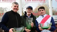 Unstoppable Darragh O'Keeffe guides Sam Allen's Lonesome Boatman to glory at Cork Racecourse