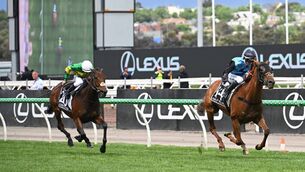 <p>Jamie Melham riding Half Yours defeats Wayne Lordan riding Goodie Two Shoes Race 7, the Lexus Melbourne Cup during Melbourne Cup Day at Flemington Racecourse on November 04, 2025 in Melbourne, Australia. (Photo by Vince Caligiuri/Getty Images)</p>