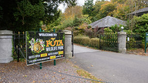 <p> The Department of Agriculture has confirmed that deceased birds at Fota Wildlife Park, Cork, have tested positive for bird flu. As a result, the park will remain closed until further notice. Picture Dan Linehan</p>