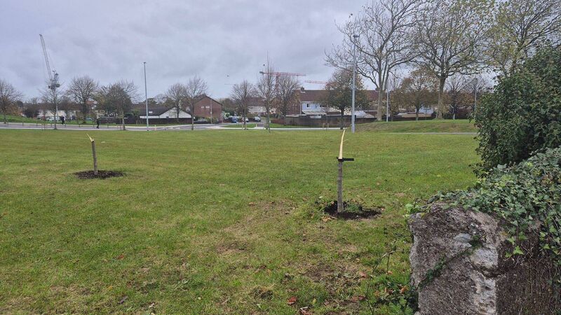 Appeal for witnesses to Mahon act of vandalism