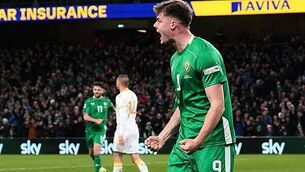 Evan Ferguson included in Republic of Ireland squad for World Cup qualifiers Evan Ferguson included in Republic of Ireland squad for World Cup qualifiers