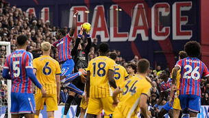 Crystal Palace v Brighton and Hove Albion - Premier League - Selhurst Park