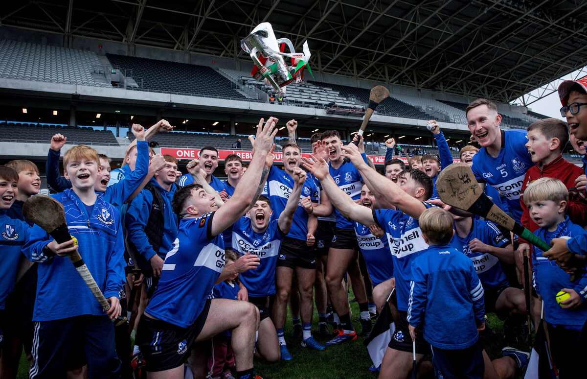 Sarsfields celebrate winning the Cork Premier Senior Hurling Championship. Picture: ©Inpho/Tom Maher