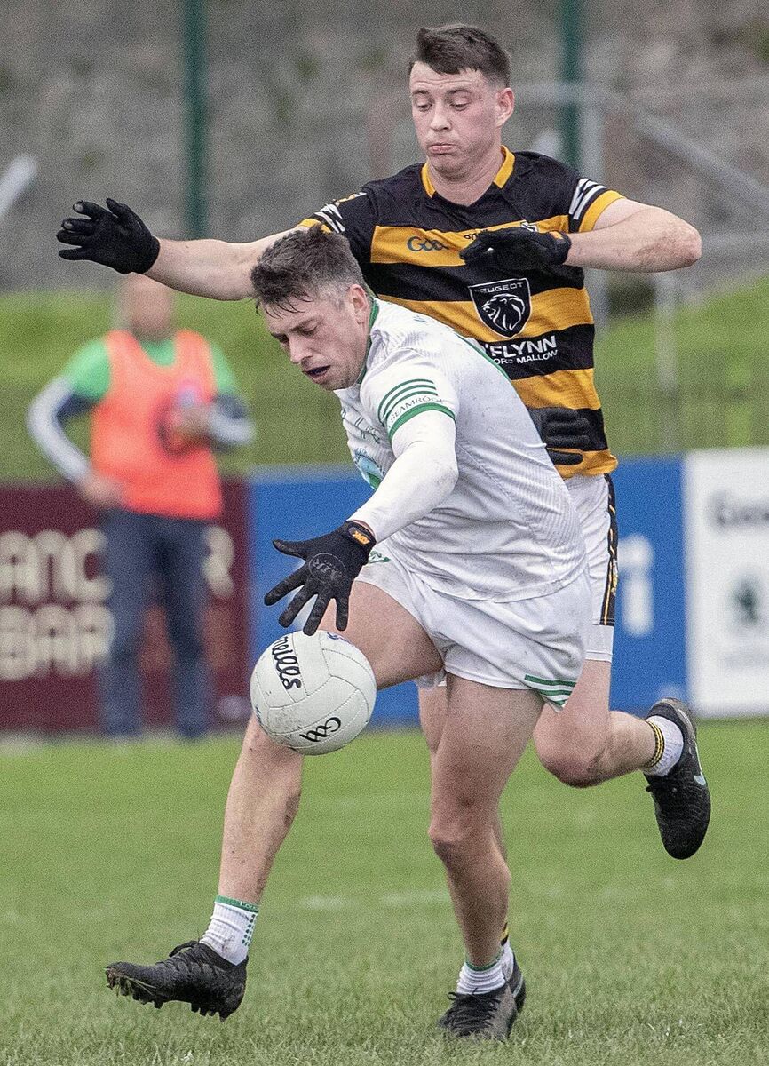 Shamrocks' Edward Lonergan on the ball ahead of Buttevant's John O’Neill during their Munster Club Junior Football match in Fraher Field. Picture: Sean Byrne Shamrocks' Edward Lonergan on the ball ahead of Buttevant's John O’Neill during their Munster Club Junior Football match in Fraher Field. Picture: Sean Byrne
