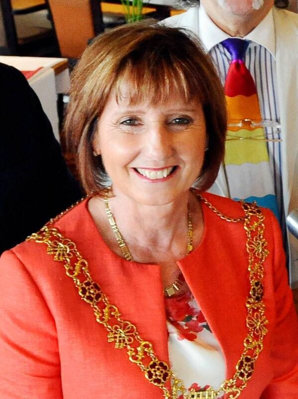 Former lord mayor of Cork Catherine Clancy. Picture: Denis Scannell