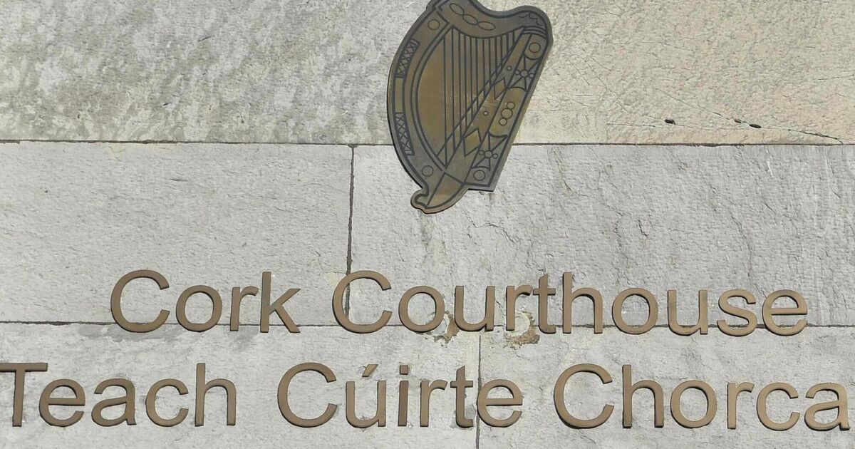 Un chauffeur de bus raconte au procès pour meurtre de Cork que le passager du bus lui a rappelé « Super Mario »