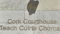Bus driver tells Cork murder trial that bus passenger reminded him of  'Super Mario'