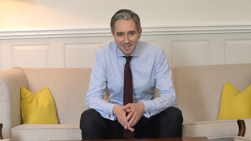 Tánaiste repeats call for establishment of Cork city centre taskforce