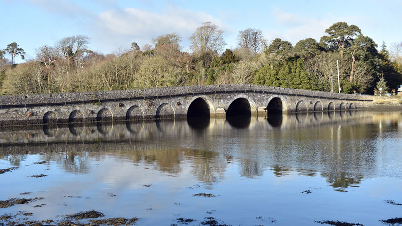 Second Cork to Cobh road ‘taking too long’, says TD
