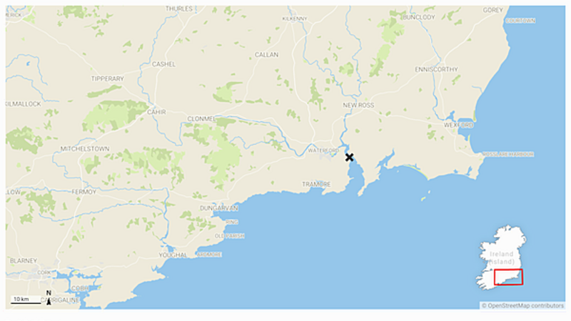 Woman's body (60s) found in Waterford home