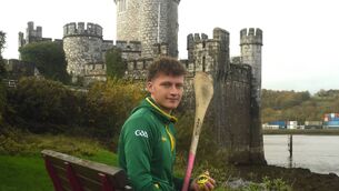 <p>Blackrock and Cork hurler Alan Connolly pictured at Blackrock Castle, promoting his club's new fundraising raffle in which a Toyota Yaris can be won. Picture: George Hatchell</p>