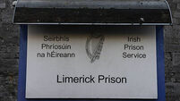 Limerick stock