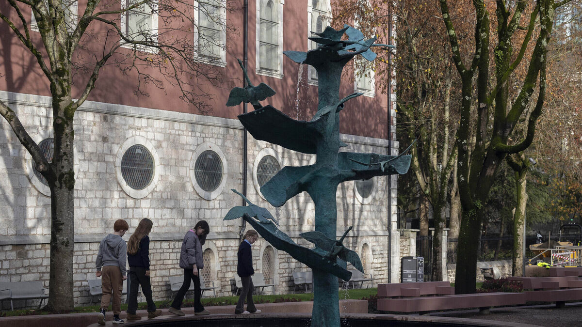 Bishop Lucey Park officially reopens after €7m redevelopment