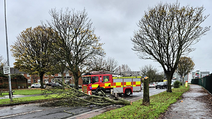 Trees down across the country amid warnings for worst-affected areas to stay indoors