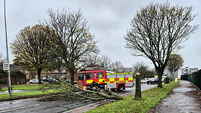Trees down across the country amid warnings for worst-affected areas to stay indoors