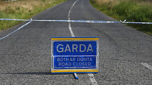 24269012 Garda stock