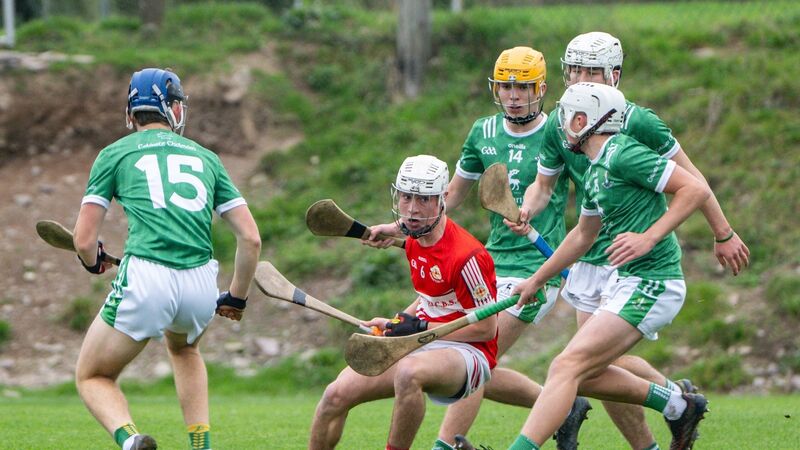Dr Harty Cup: Cork schools to learn their fate as groups conclude