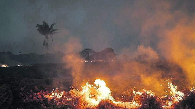 Burning waste? You could be fined €5,000