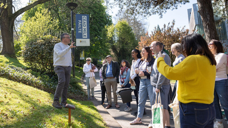 University College Cork arboretum retains its global excellence status   