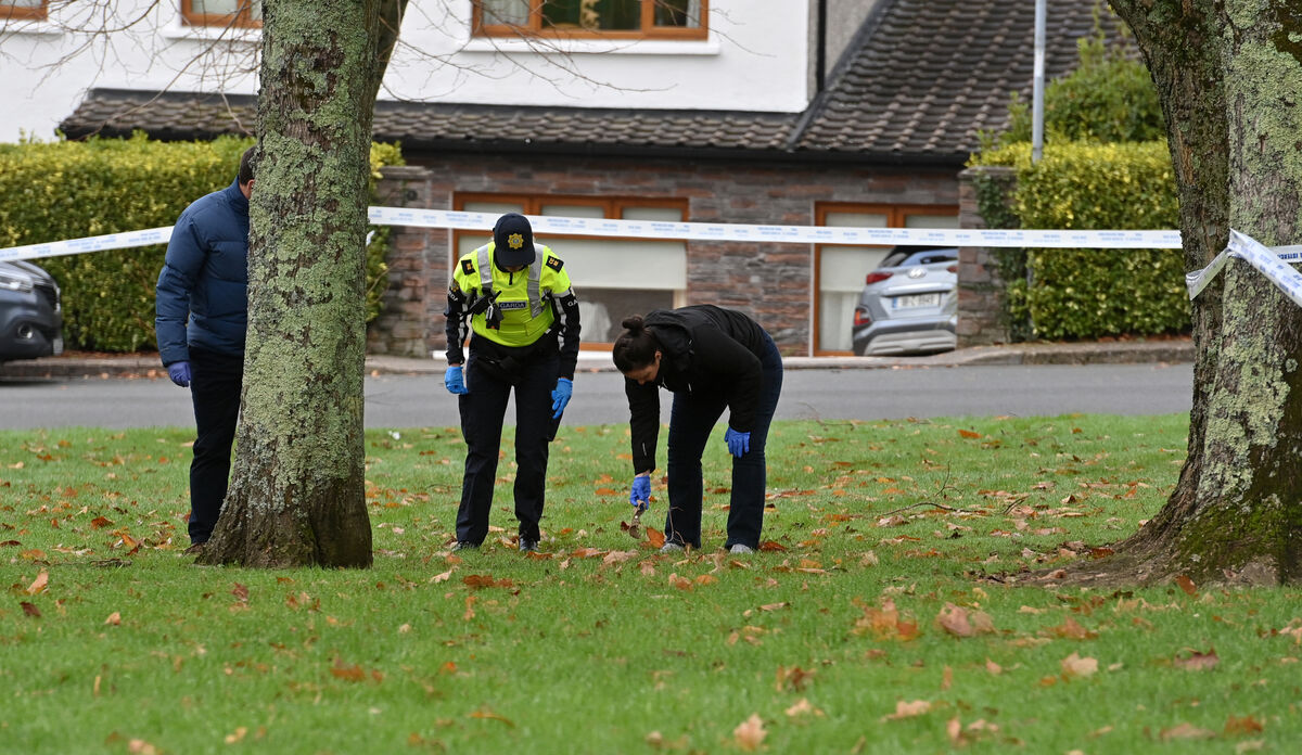  Garda members search the green at Shrewsbury Downs in Ballinlough, Cork, following a fatal incident that left a woman dead and her husband seriously injured. Picture Dan Linehan