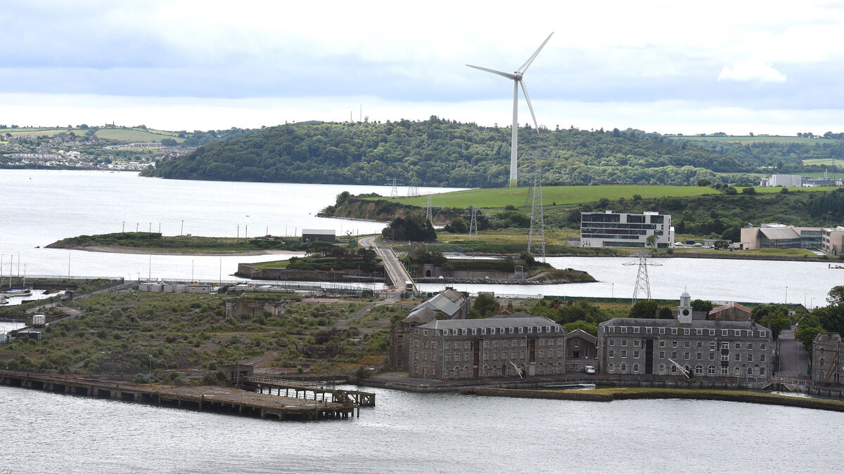 Cork city and county councillors come together to oppose incinerator