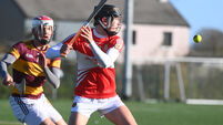 Dr Harty Cup: Midleton cruise to top spot with win over De La Salle