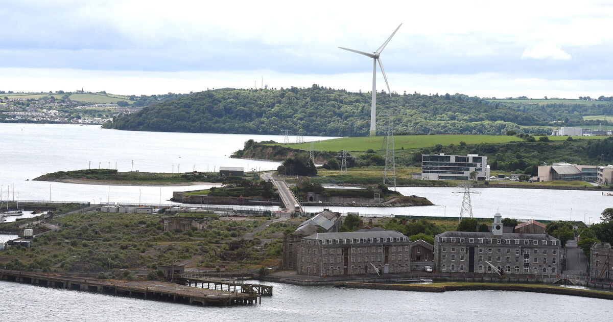 Several Cork TDs have also spoken out against the proposal and encouraged Fáilte Ireland to do the same on the grounds that it would disrupt the ...