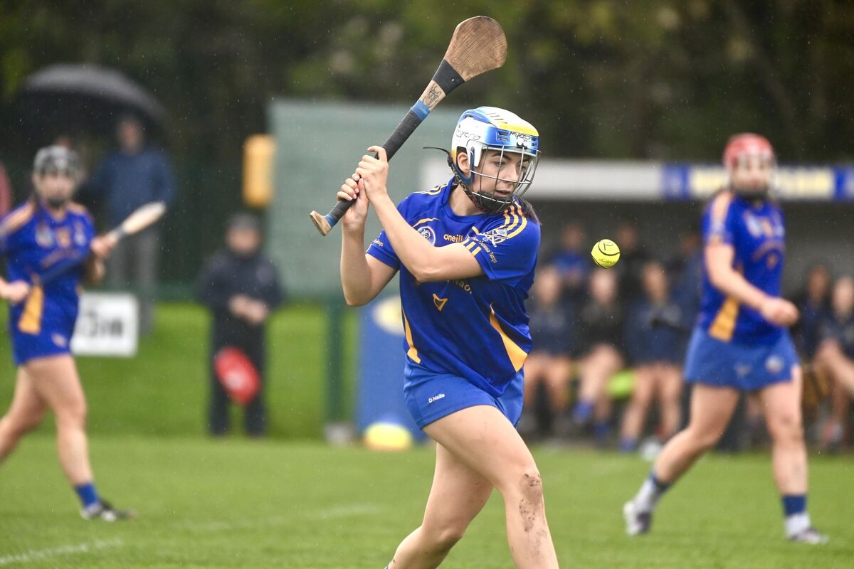 St Finbarr's captain Stephanie Punch will be hoping to get her hands on another cup on Saturday as they take on De La Salle in the AIB Munster senior camogie championship final. Picture: Larry Cummins