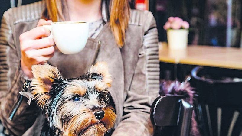 Cork Views: City initiative is a boost for coffee culture