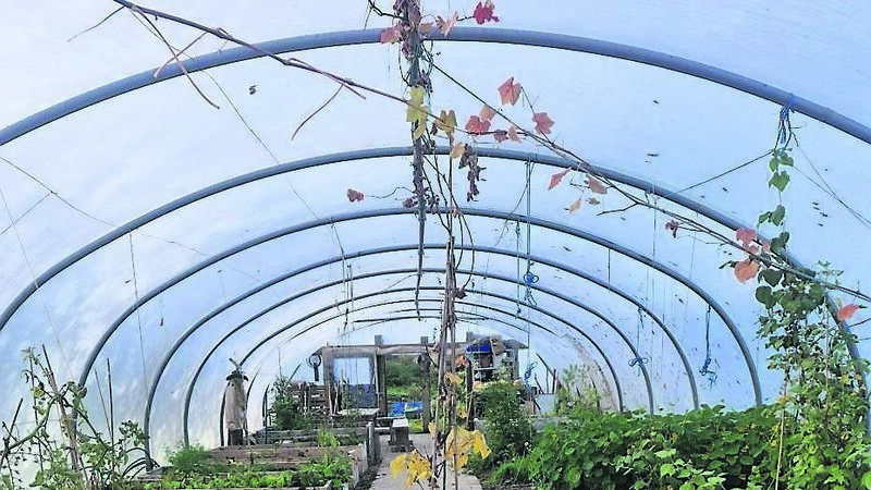 Olive Ryan: A visit to an inspirational eco-village 