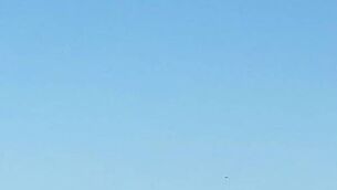 Initial report into fatal plane crash in Co Waterford due within 30 days