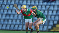 Ballinora see off Cobh to reach Junior A Hurling final