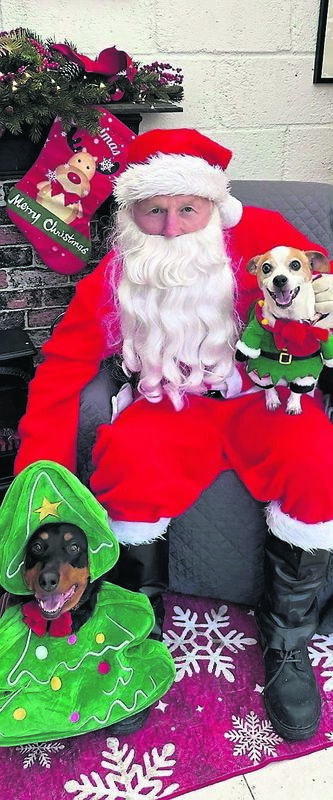 The late, much missed Lola wearing a Christmas tree, and Phoebe as Robin Hood, with Santa at Belrose The late, much missed Lola wearing a Christmas tree, and Phoebe as Robin Hood, with Santa at Belrose