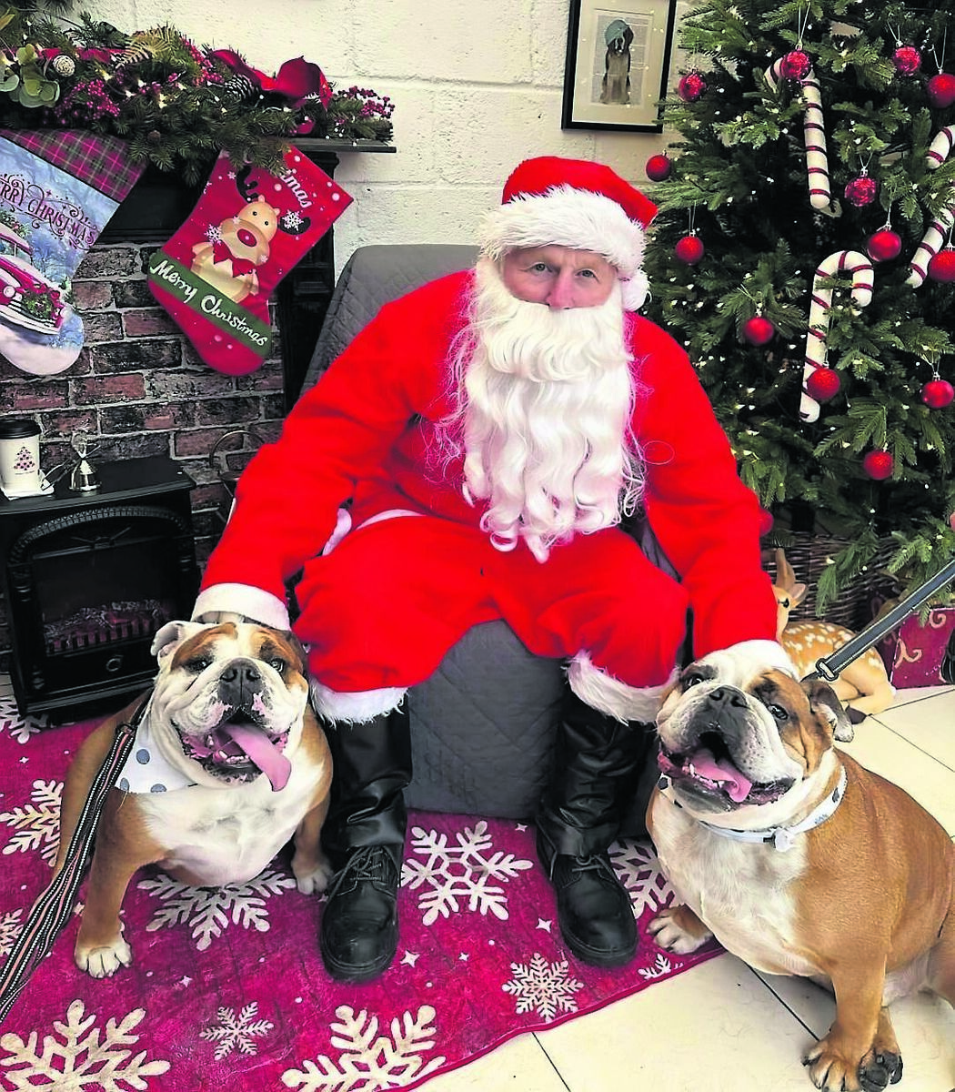 Belrose Boarding Kennels &amp; Cattery in Upton is bringing back its super-successful SantaPaws event at the end of this month, in aid of the Irish Guide Dogs for the Blind. 