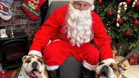 Santa Paws returns to Cork for worthy cause
