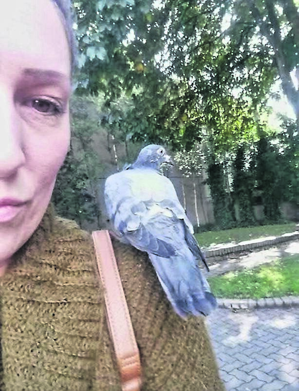 Sarah Roberts with her pet pigeon, which she freed in Bishop Lucey Park a few years ago. 