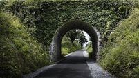 Exploring the greenway, museums and Celtic traditions of family-friendly Co Kerry
