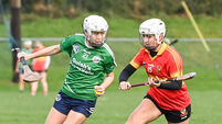 Cork camogie: Ballincollig and St Finbarr's ready for All-Ireland semi-final challenge