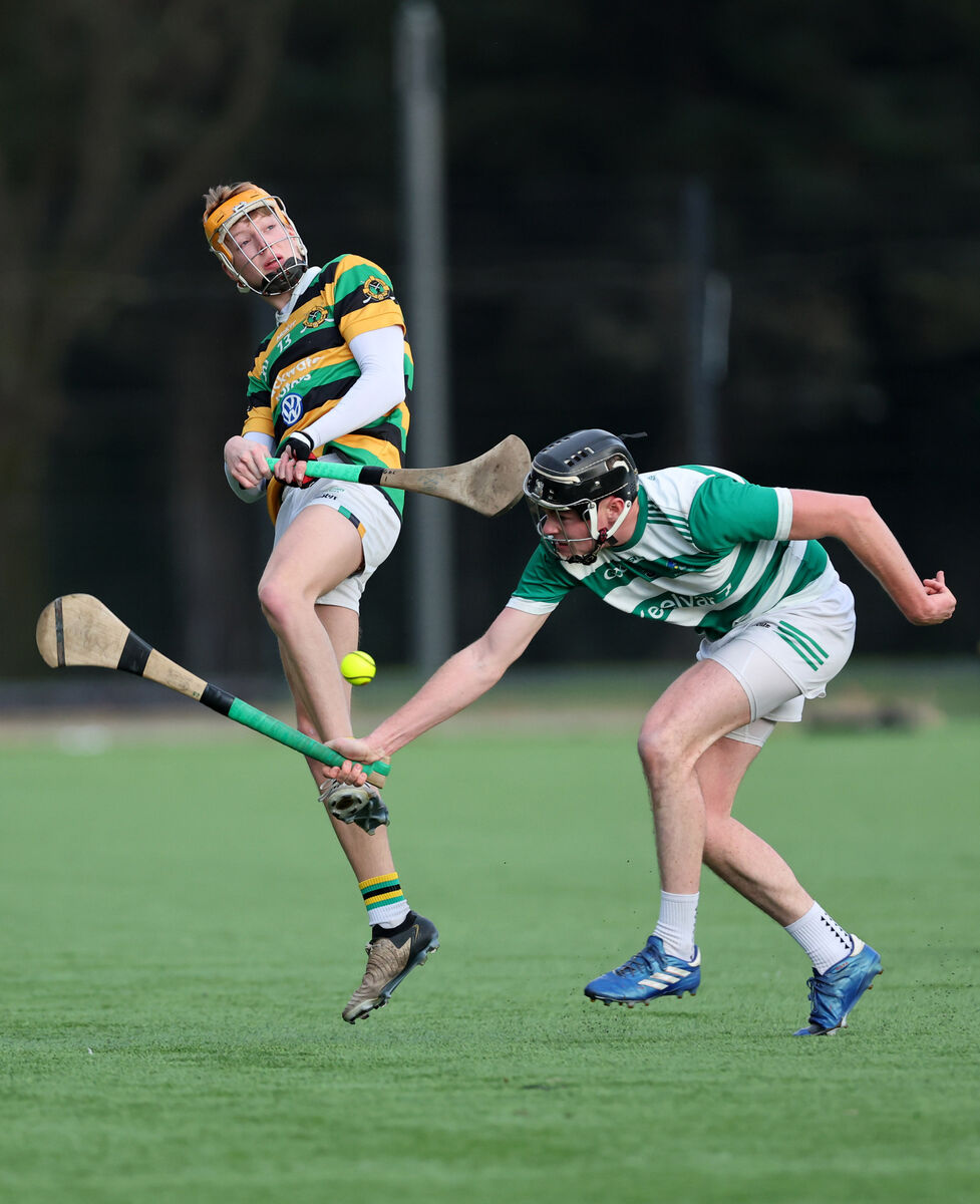  Gavin O'Callaghan, Glen Rovers, has his shot blocked by Cian Johnson, Valley Rovers. Picture: Jim Coughlan.