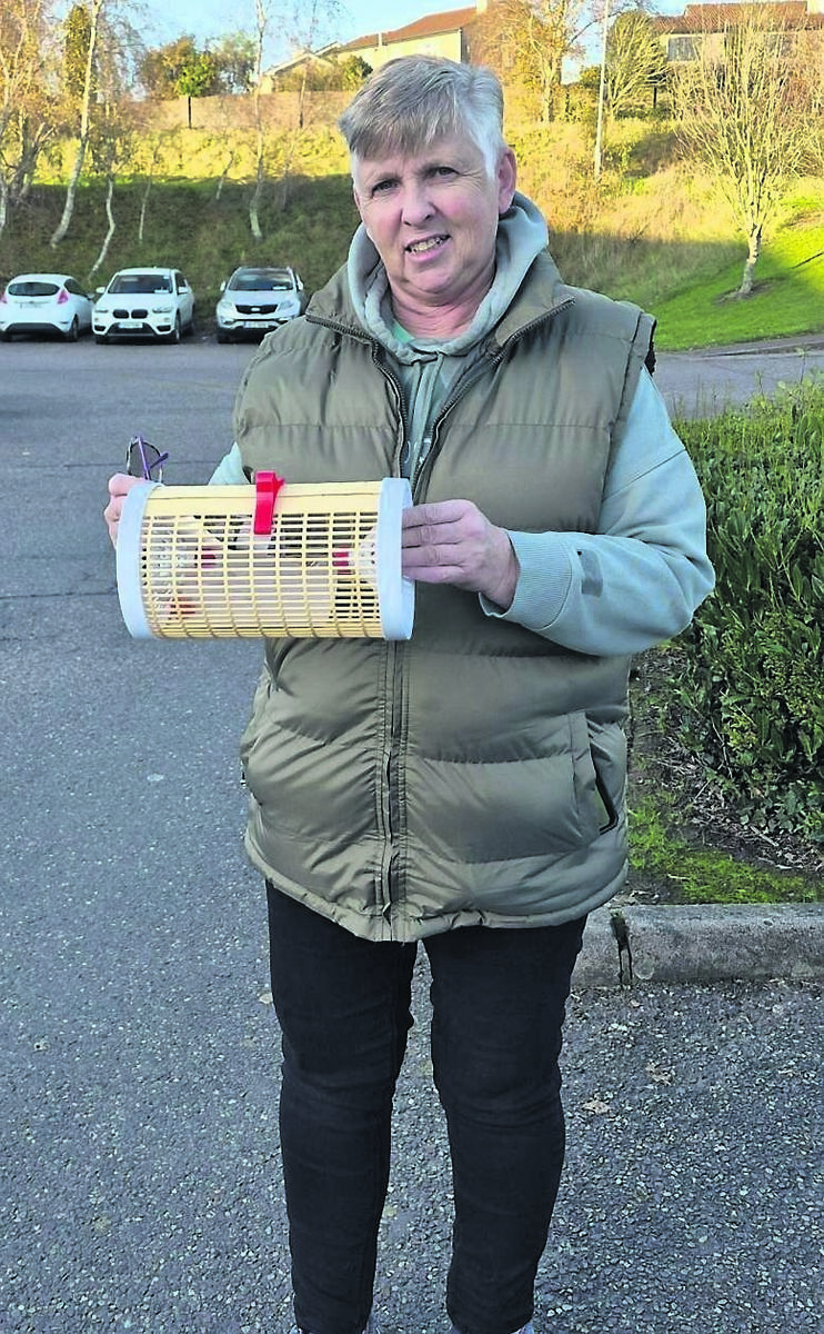 Eleanor Attridge with one of the essential traps for collecting the invasive Asian hornets Eleanor Attridge with one of the essential traps for collecting the invasive Asian hornets