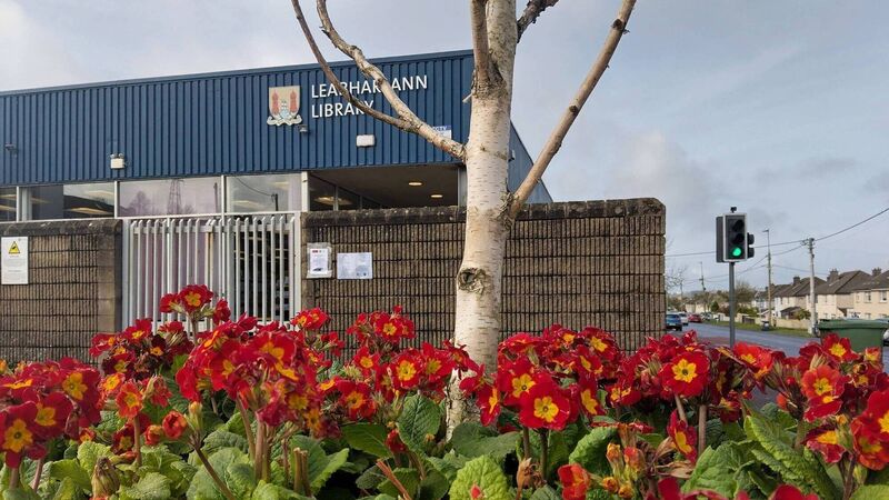 All About Cork: Mayfield Library announces series of festive events