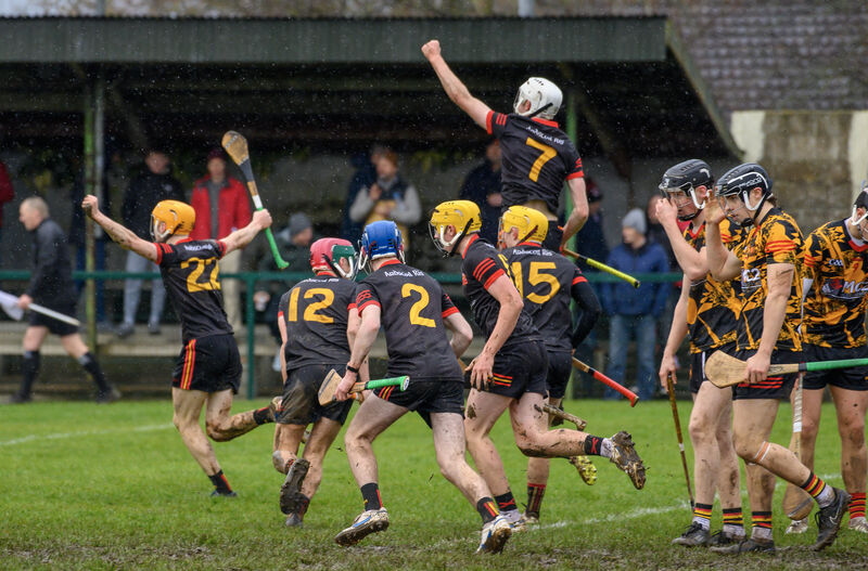 Árdscoil Rís, Limerick players celebrate their win against Christian Brothers College. Picture: Dan Linehan Árdscoil Rís, Limerick players celebrate their win against Christian Brothers College. Picture: Dan Linehan