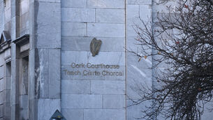 <p>At Cork Circuit Criminal Court, Judge Behan imposed a total sentence of one year, which she suspended.</p>