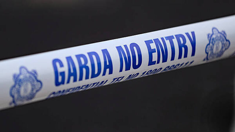 Man (21) dies in suspected hunting accident in Co Carlow