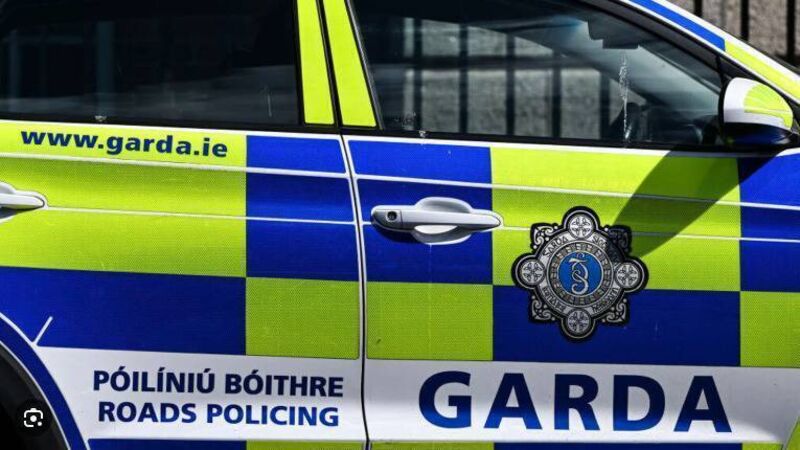 Cork Gardaí arrest drug-driver and 'knight in shining armour' who came to the rescue