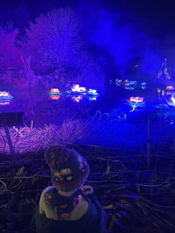 Wonderlights is a truly sensory experience. 