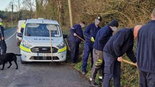 <p>Gardaí in North Cork carrying out searches after they found what is described as “a significant number of firearms” in woods about eight miles north of the city.</p> <p>Gardaí in North Cork carrying out searches after they found what is described as “a significant number of firearms” in woods about eight miles north of the city.</p>