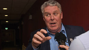 European and local elections