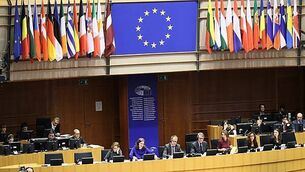 DUP seeks to block Sinn Féin bid for European Parliament ‘observer status’ DUP seeks to block Sinn Féin bid for European Parliament ‘observer status’